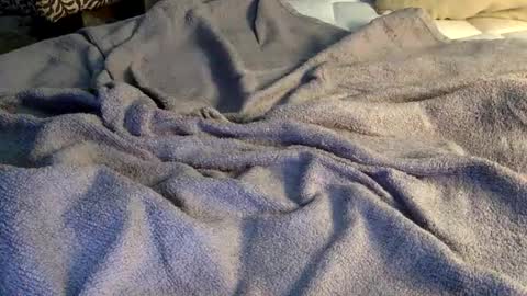 Snapshot of freesade chatting on September 17, 2:42 pm Free Sade online show from September 17, 2:42 pm