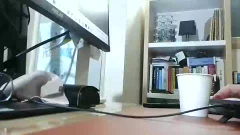 K-Dick online show from March 1, 11:06 am