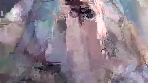 freshzozoboy online show from November 18, 6:16 am