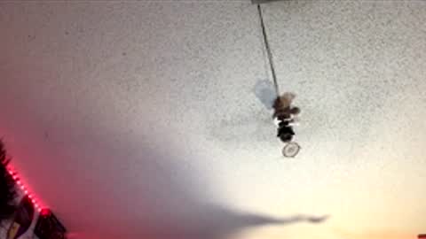 Fabian online show from April 1, 7:53 am