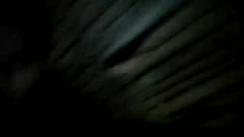 YoungBullAl online show from December 20, 7:28 pm