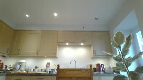 galacx online show from November 11, 12:07 pm