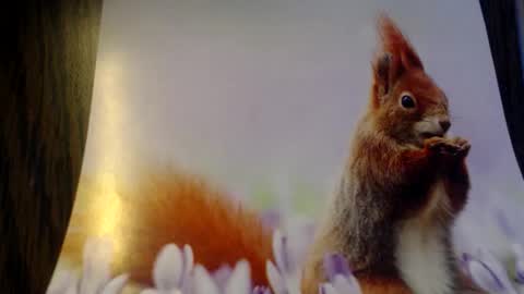 galera100 online show from March 3, 8:21 am