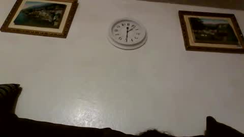 gangdrewski online show from March 5, 3:48 am