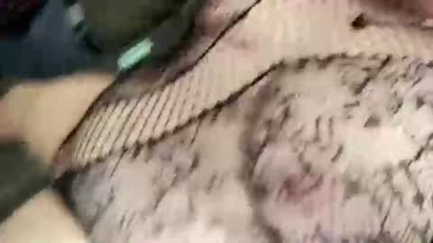 Geekari online show from November 23, 8:12 am