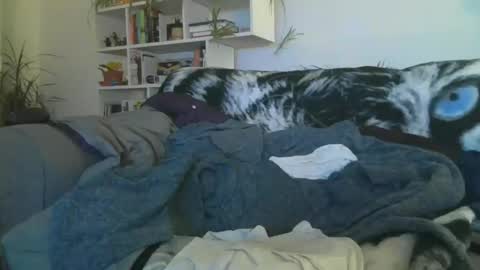 Geon online show from November 7, 9:01 am