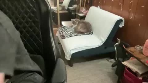 ghostboygbc online show from April 19, 6:14 am