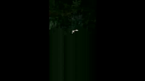 gimedat7412 online show from February 21, 5:43 am