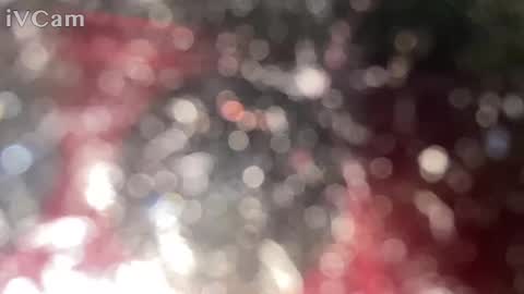 GingerNinja online show from January 12, 10:33 pm