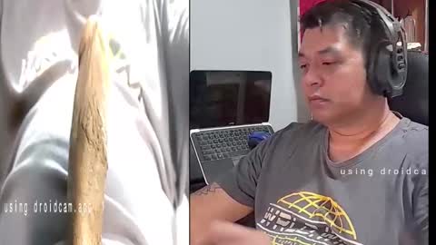 gnx666 online show from March 19, 10:21 am