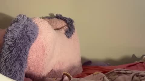 gockinmyrari online show from February 20, 3:50 am