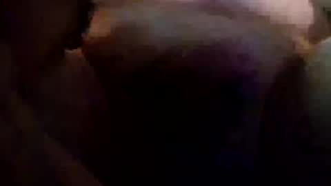 gottapoke25 online show from December 7, 5:43 am