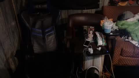 gottapoke25 online show from February 12, 6:08 am