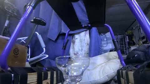 electrogee1 online show from October 29, 1:40 am