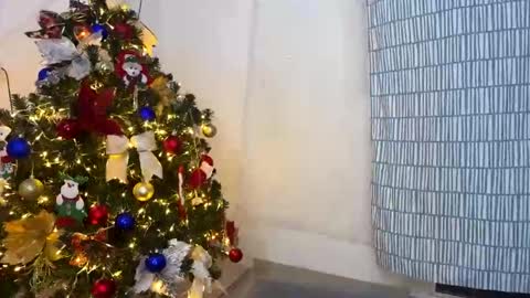 grei online show from November 30, 3:35 am