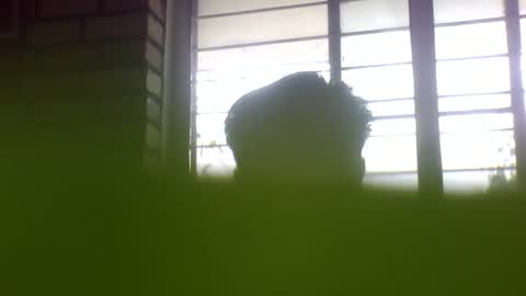 Grey Stud online show from January 24, 6:57 am