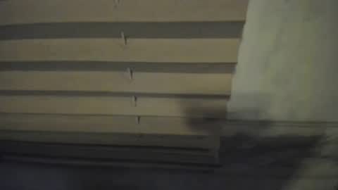 growbig4u online show from January 10, 2:28 am