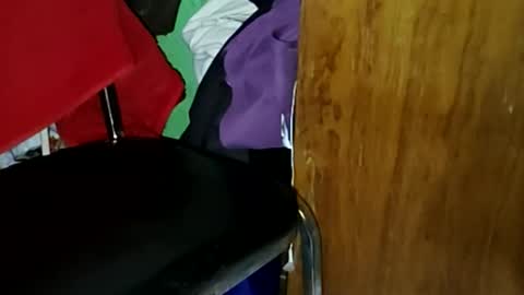 guillermo723 online show from January 15, 2:42 am