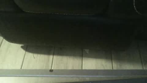 guy8inches4u online show from September 18, 11:58 am