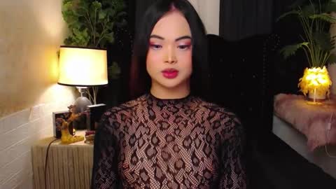 haily online show from November 11, 2:25 am