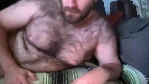 Hairiest Bear online show from November 14, 2:30 pm