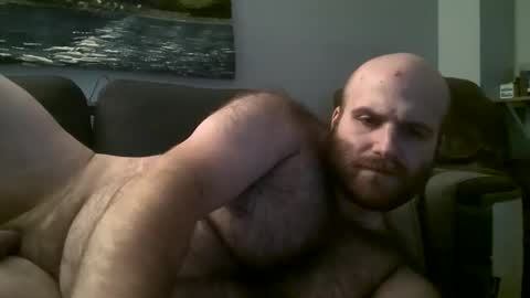 Hairiest Bear online show from March 2, 8:16 am