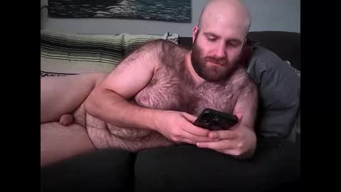 Hairiest Bear online show from February 9, 2:10 pm