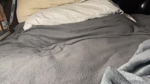 J  M online show from February 9, 4:57 am