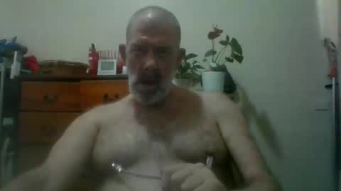 HairyPigSyd online show from November 14, 3:42 am