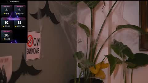 HairyRobXxX online show from November 1, 4:06 pm