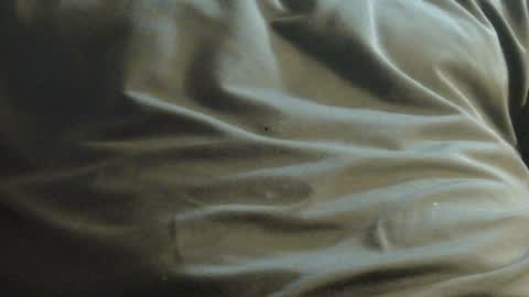 hamhead71 online show from December 8, 10:03 pm