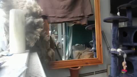 handncocknocum online show from December 9, 8:44 am