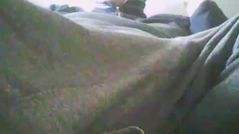 hanshans20212 online show from March 24, 7:47 am