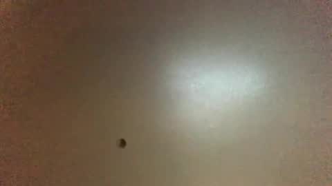 For You online show from February 1, 11:35 pm