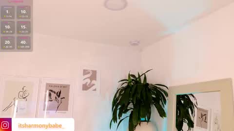 Harmony online show from November 7, 7:49 pm