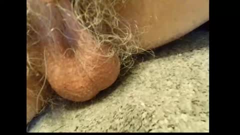 harry_banana online show from February 16, 10:57 am