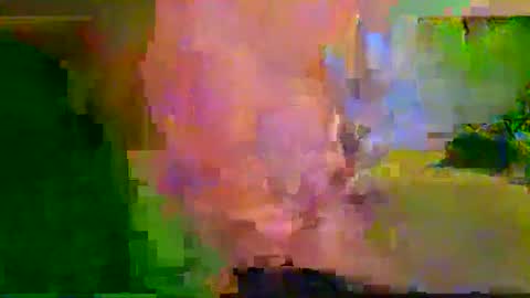 harryhavana online show from February 12, 7:34 am