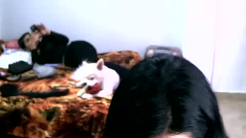 Snapshot of haylie85 chatting on December 15, 8:36 pm haylie85 online show from December 15, 8:36 pm