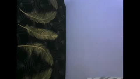 healyn online show from January 27, 3:47 am