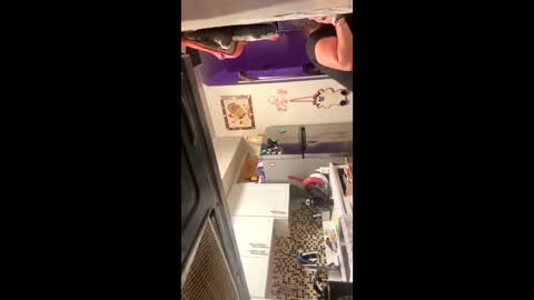 heatskii online show from November 1, 4:33 am