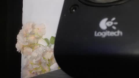 heinotlimits online show from October 31, 4:13 am