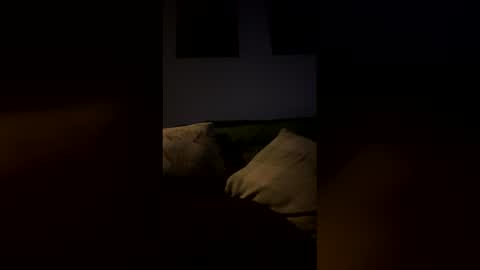 Drake online show from February 9, 6:50 am