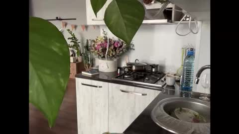 dori not holy get my tg channel with link from description under last photo online show from January 12, 12:12 pm