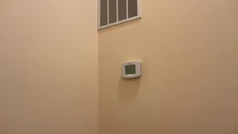 honey_man14 online show from February 19, 6:32 pm