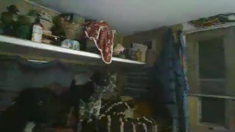 hoodoou online show from February 11, 2:37 am