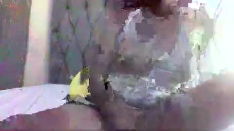 horny_ebony546069 online show from May 6, 3:40 pm