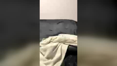 hornygoat_37 online show from June 20, 6:58 pm