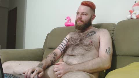 Harry online show from December 2, 3:40 am