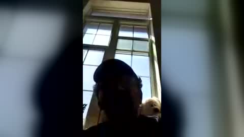 Peter online show from July 17, 2:52 pm