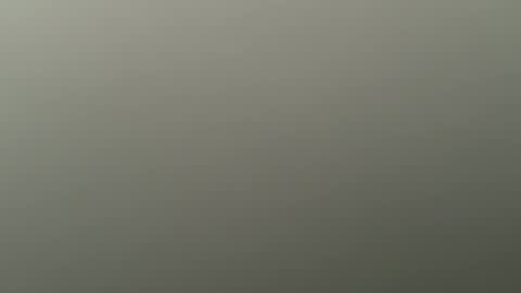 Bbc horsey online show from December 21, 8:59 pm